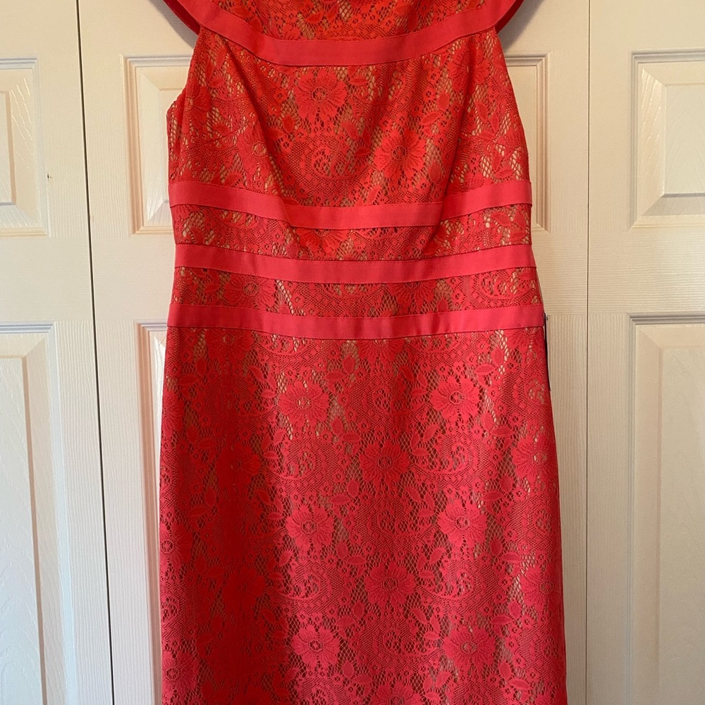 Adrianna Papell Vibrant Red Lace Midi Dress